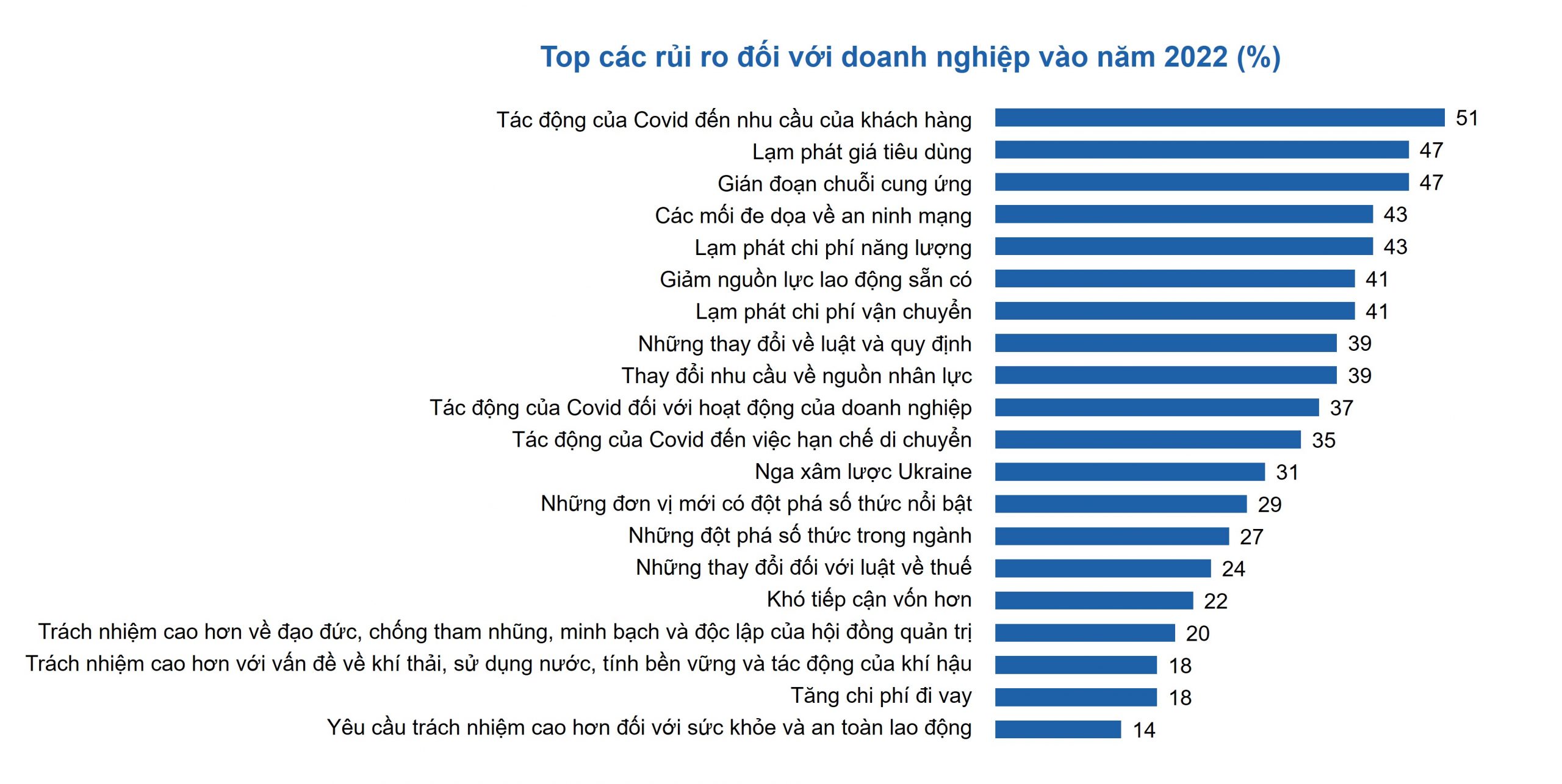 Viet Nam CEO Pulse Rui Ro