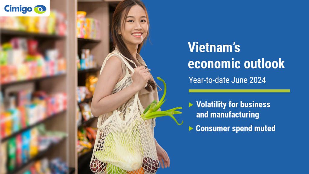 Vietnam economic outlook 2024