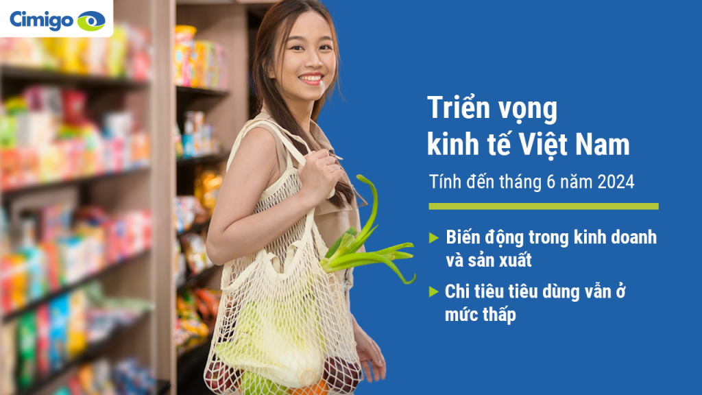 Cimigo on Vietnam's economic outlook (Vie web)